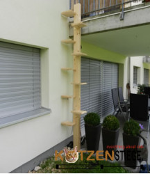 Lucky Katzentreppe Katzenleiter 3.1m