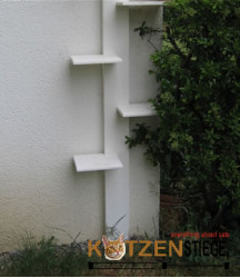 Lucky Katzentreppe Katzenleiter 5.5m